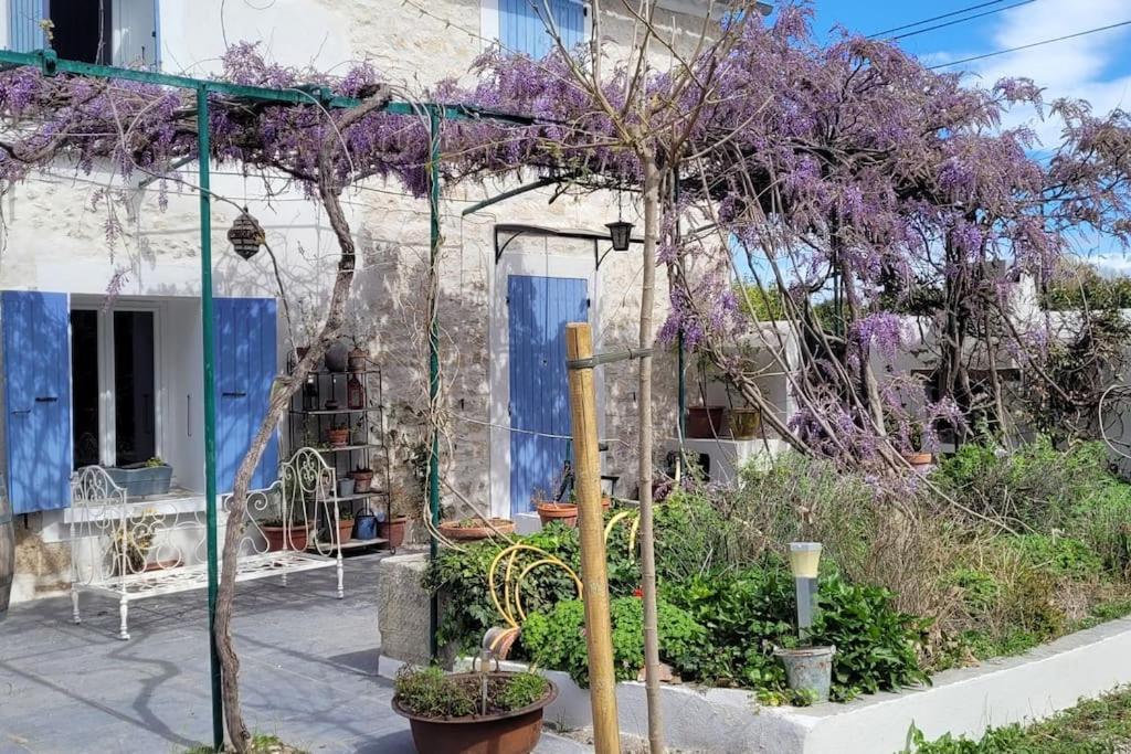 Location Dans Mas Provencal * Monteux